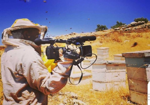 Boustany Guest House image 35