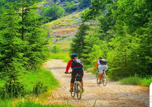 Boustany Guest House image 36