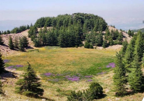 Boustany Guest House image 37