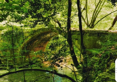 Boustany Guest House image 38