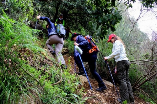 Boustany Guest House image 41